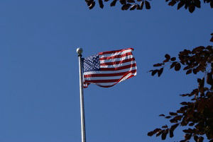 Flag Day 2008 #01
