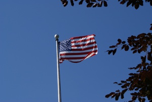 Flag Day 2008 #01